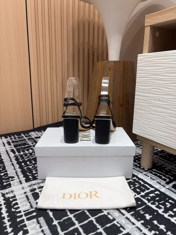 Dior Shoe 